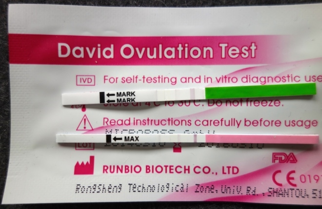 Ovulationstests sind negativ. Die Testlinie ist heller als die Kontrolllinie rechts.