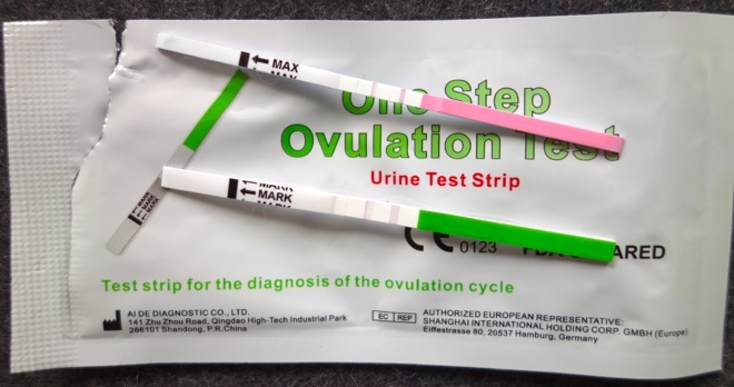 Ovulationstests sind positiv. Die Testlinie ist genauso dunkel wie die Kontrolllinie rechts.