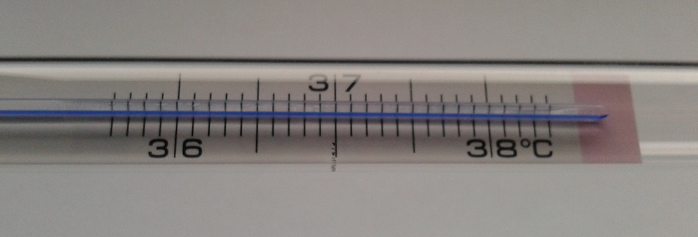 Abbildung 1: Analoges Thermometer – Falscher Betrachtungswinkel