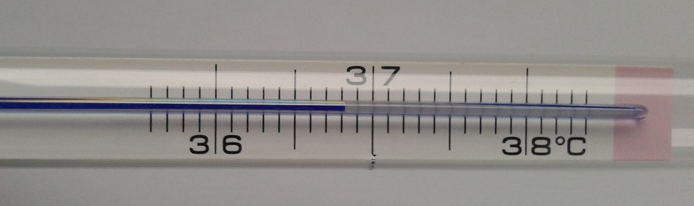 Abbildung 2: Analoges Thermometer – Richtiger Betrachtungswinkel