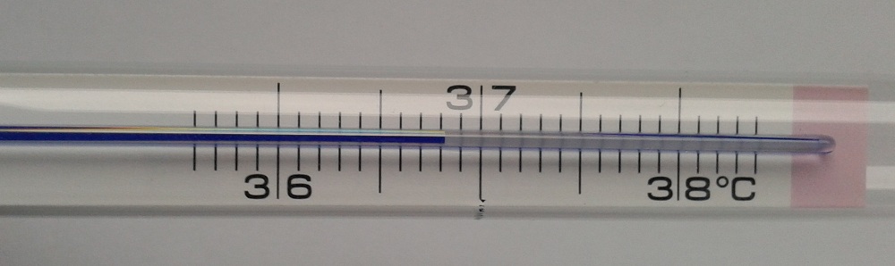 Thermometer analog kaufen