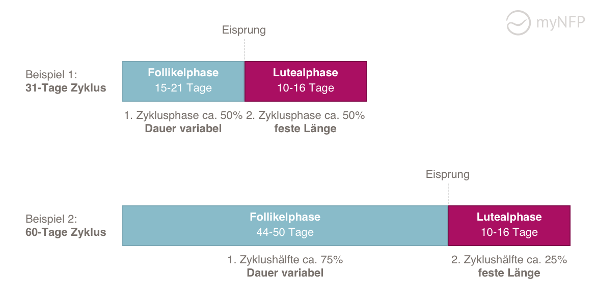 Hochlage nfp Gelbkörperschwäche selbst